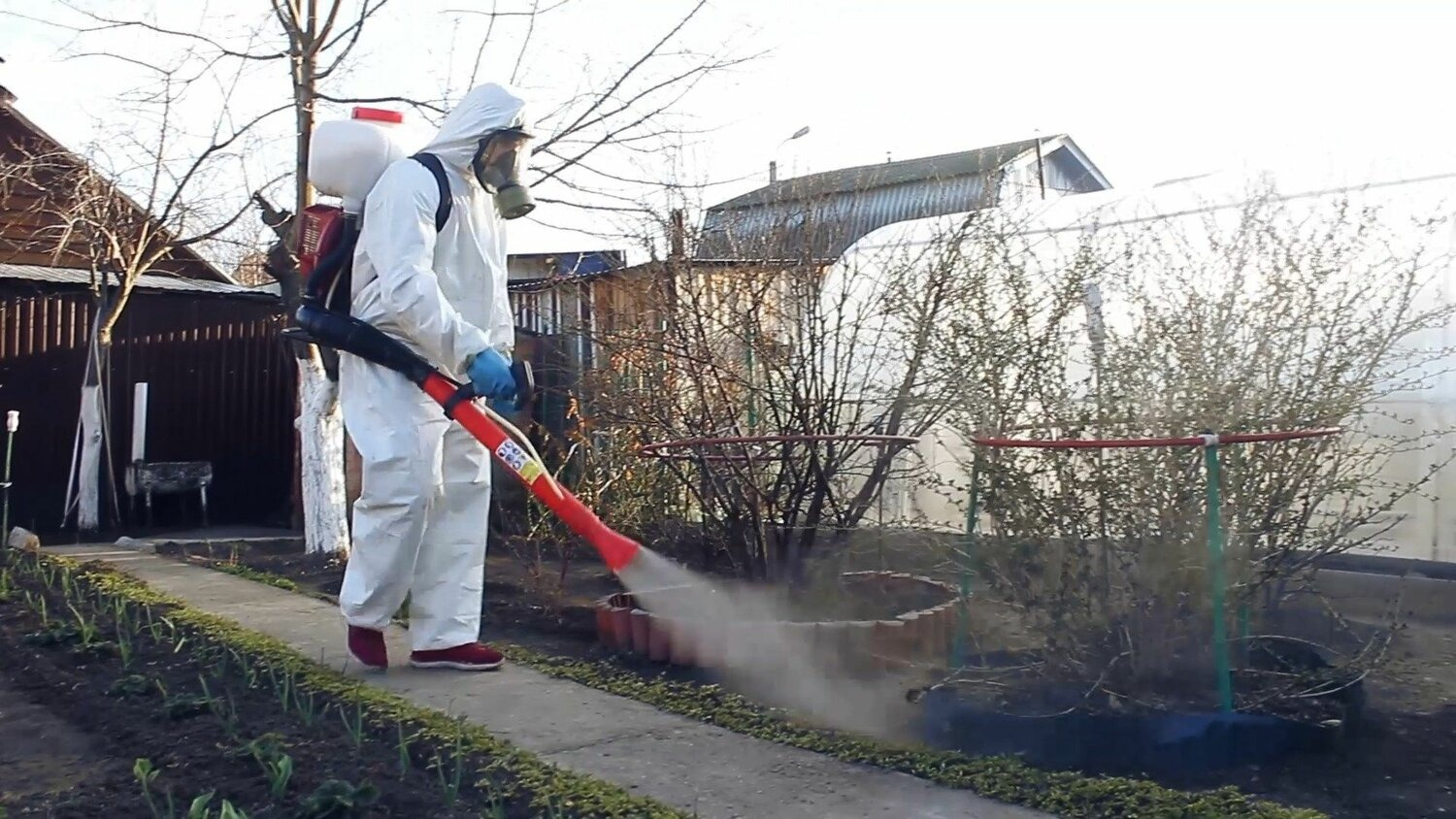 ФОТО Уничтожение муравьёв в Дедовске