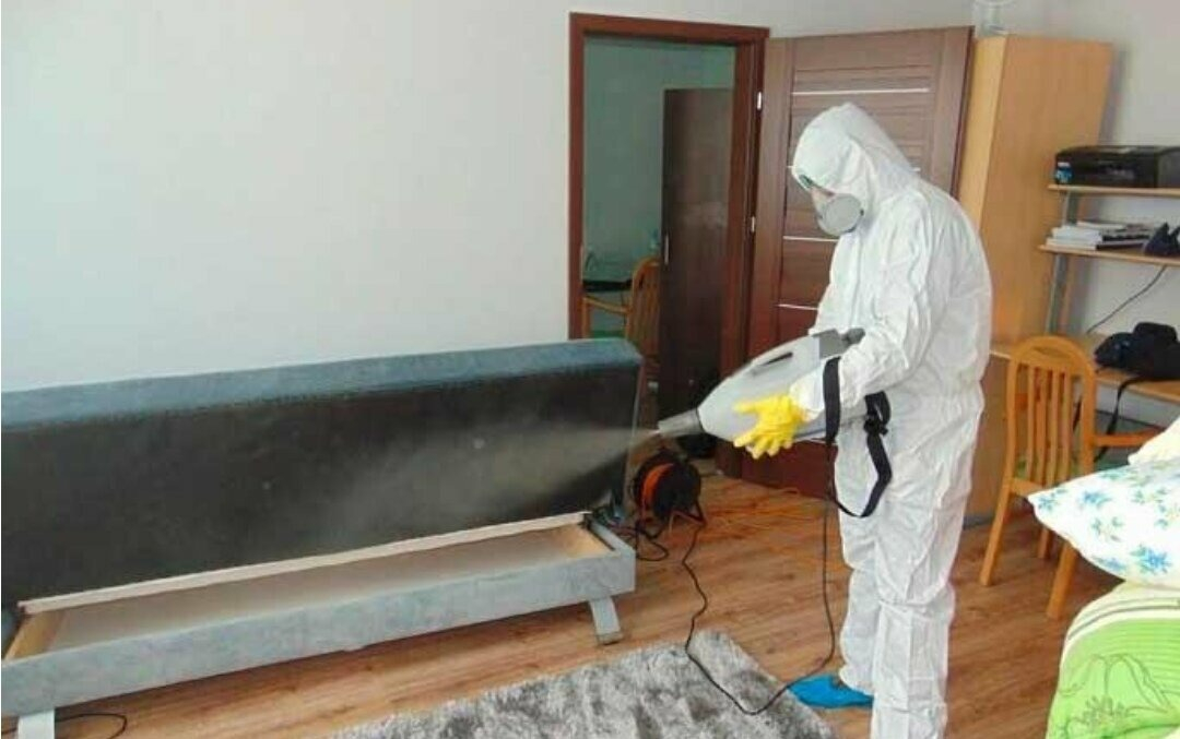 ФОТО Уничтожение блох в Дедовске