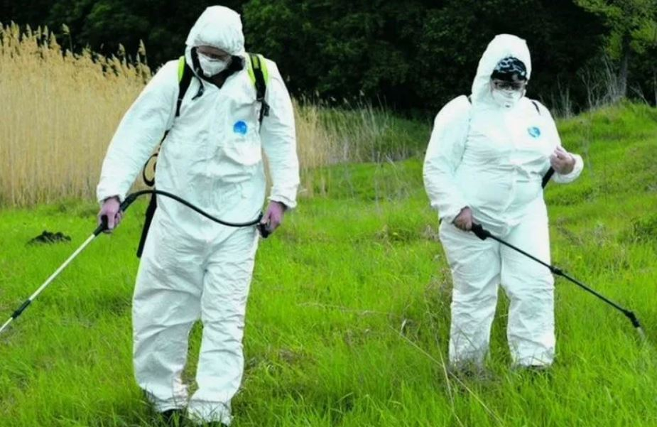 ФОТО Обработка от клещей в Дедовске