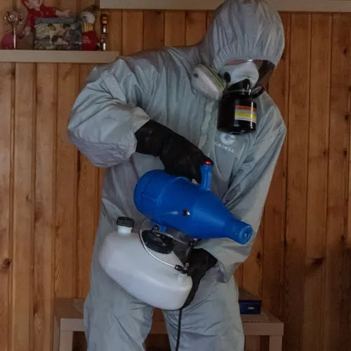 ФОТО Дезинфекция в Дедовске