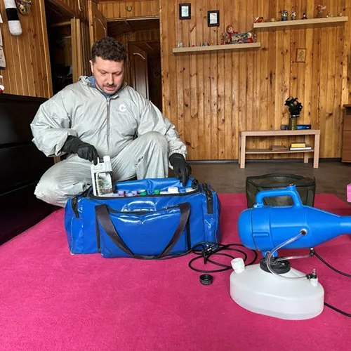 ФОТО Дератизация в Дедовске