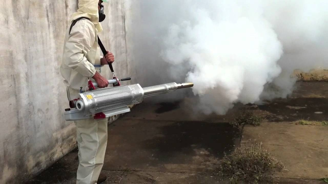 ФОТО Уничтожение мух в Дедовске