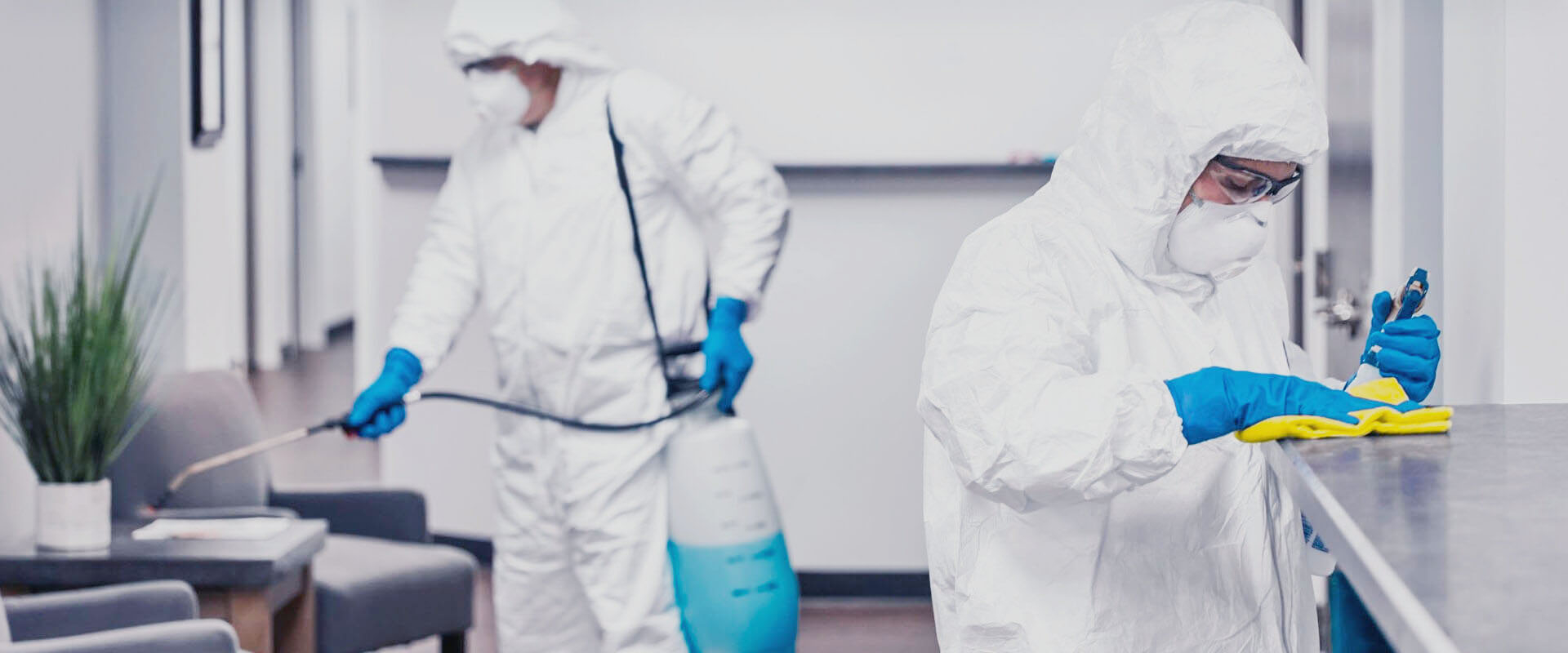 ФОТО В чем разница между дезинфекцией и дезинсекцией в Дедовске? | подробно