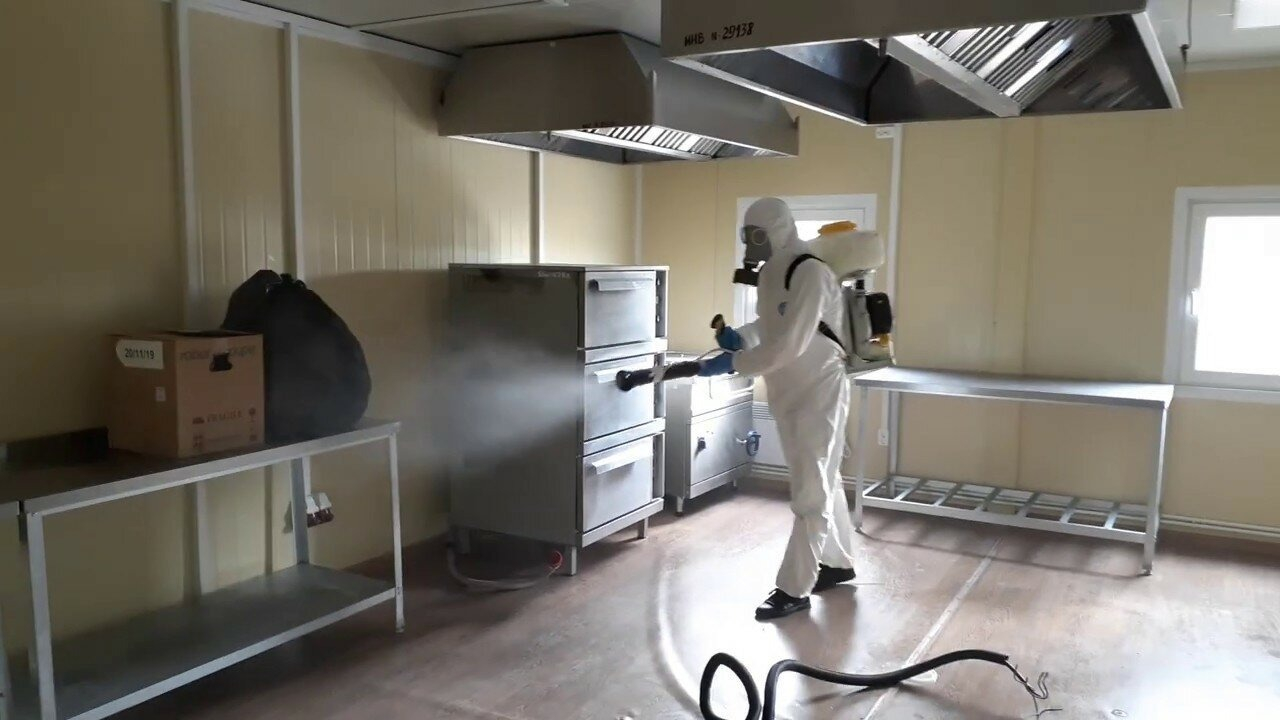 ФОТО Можно ли провести дезинсекцию самостоятельно и какие существуют риски в Дедовске? | подробно