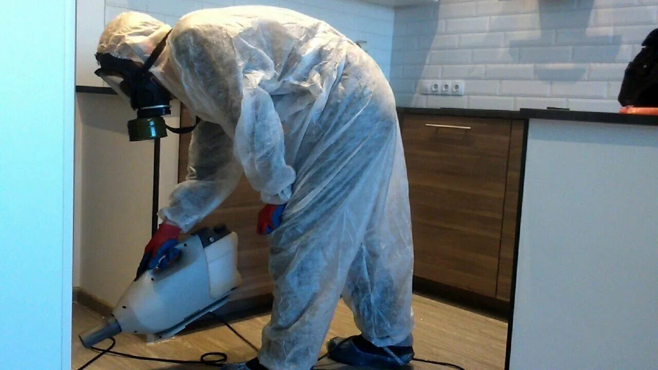 ФОТО Как подготовить домашних животных к обработке от насекомых в Дедовске? | подробно