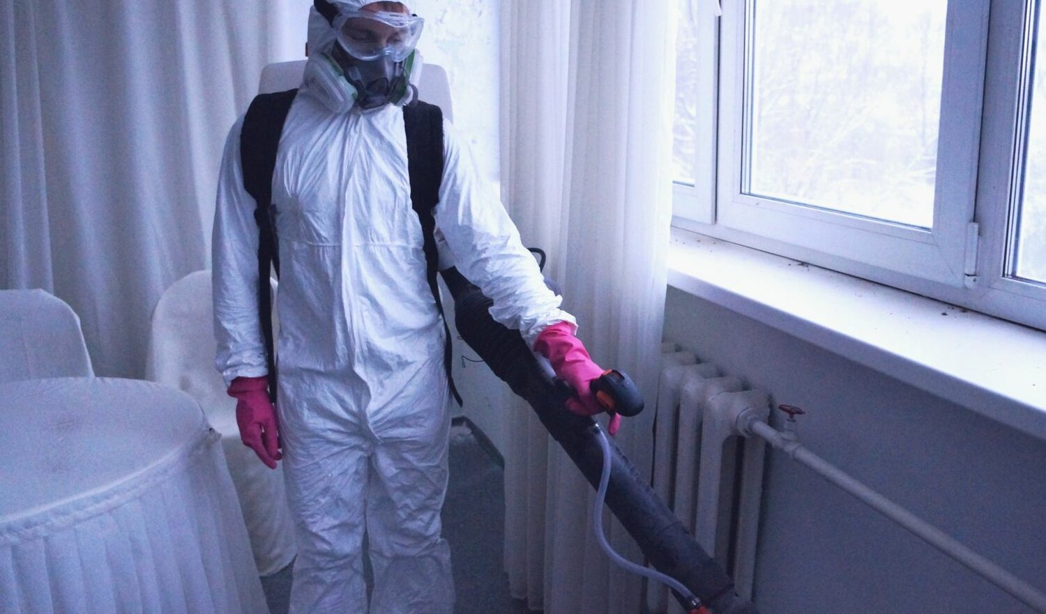 ФОТО Нужно ли выносить растения при дезинсекции в Дедовске? | подробно