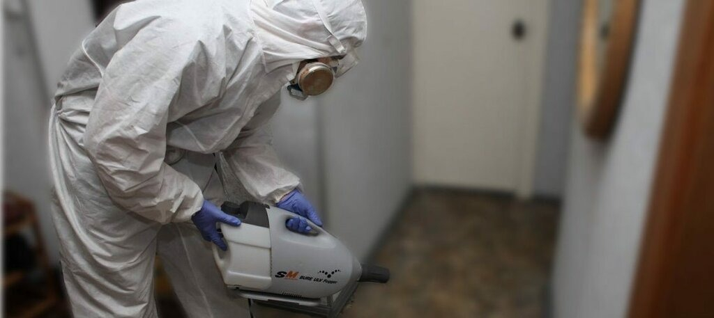 ФОТО Остаются ли следы после обработки квартиры от насекомых в Дедовске? | подробно