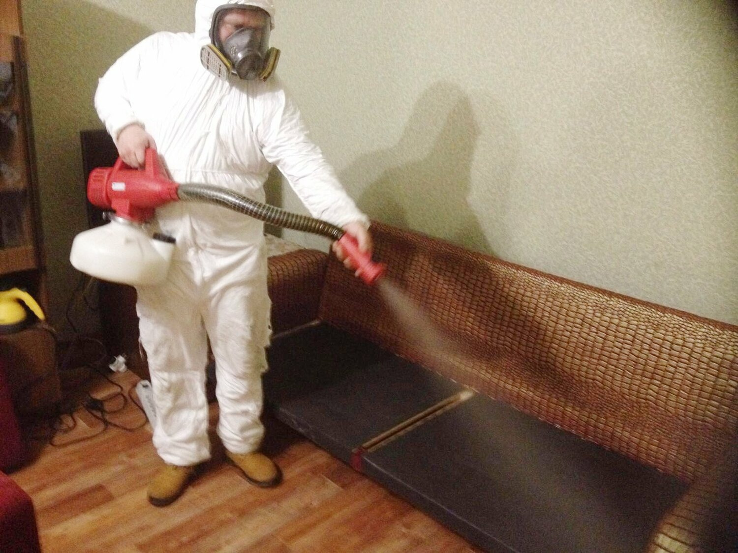 ФОТО Когда можно вернуться в помещение после дезинсекции в Дедовске? | подробно