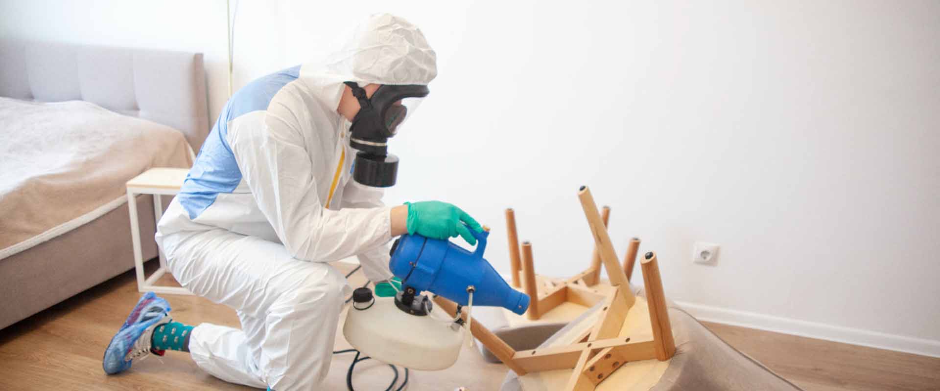 фото: Уничтожение постельных клопов с 1-го раза с гарантией за 30-60 мин. в Дедовске без предоплаты