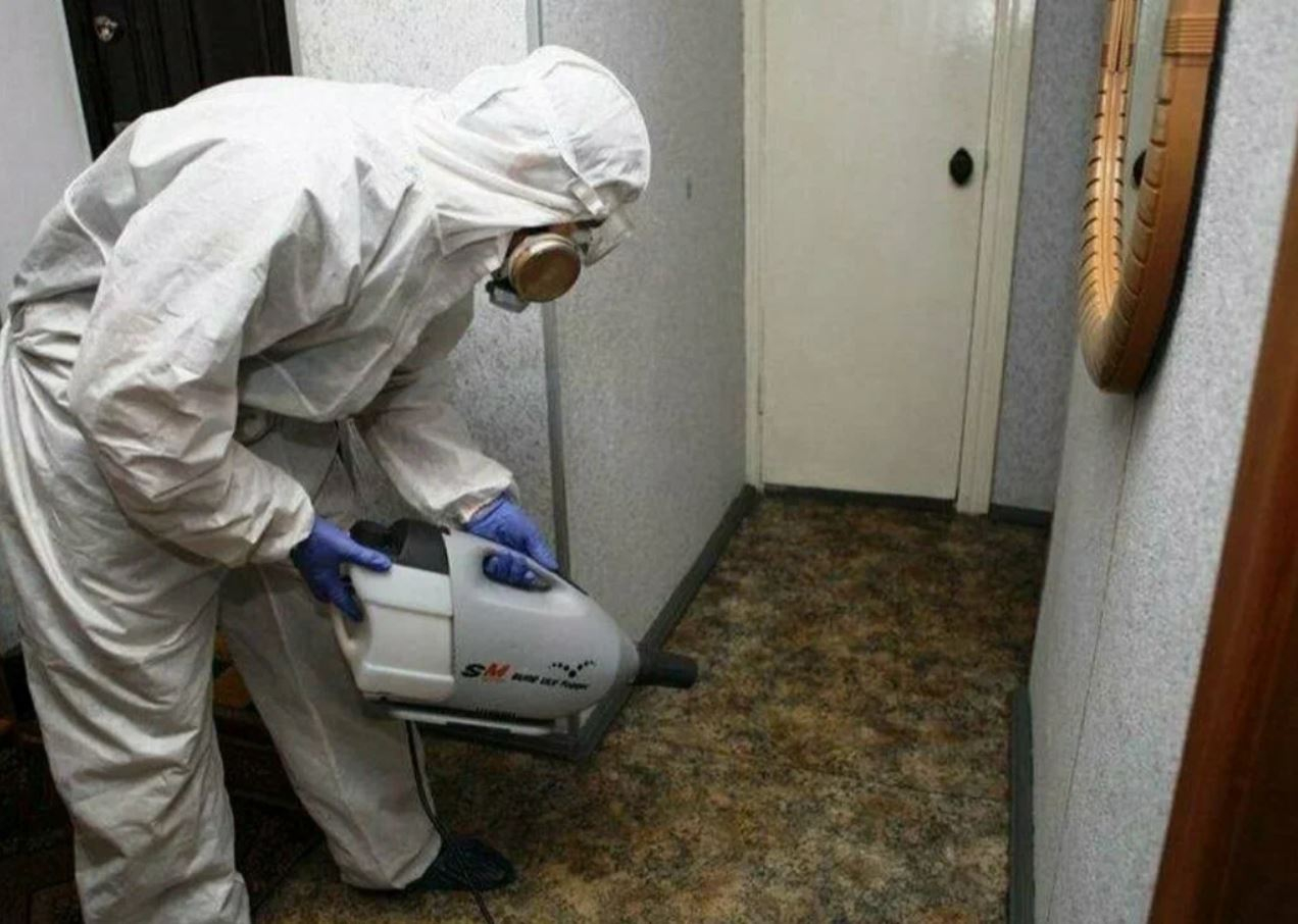 фото: Профессиональная дезинсекция в Дедовске: <br/>+7-909-173-42-96