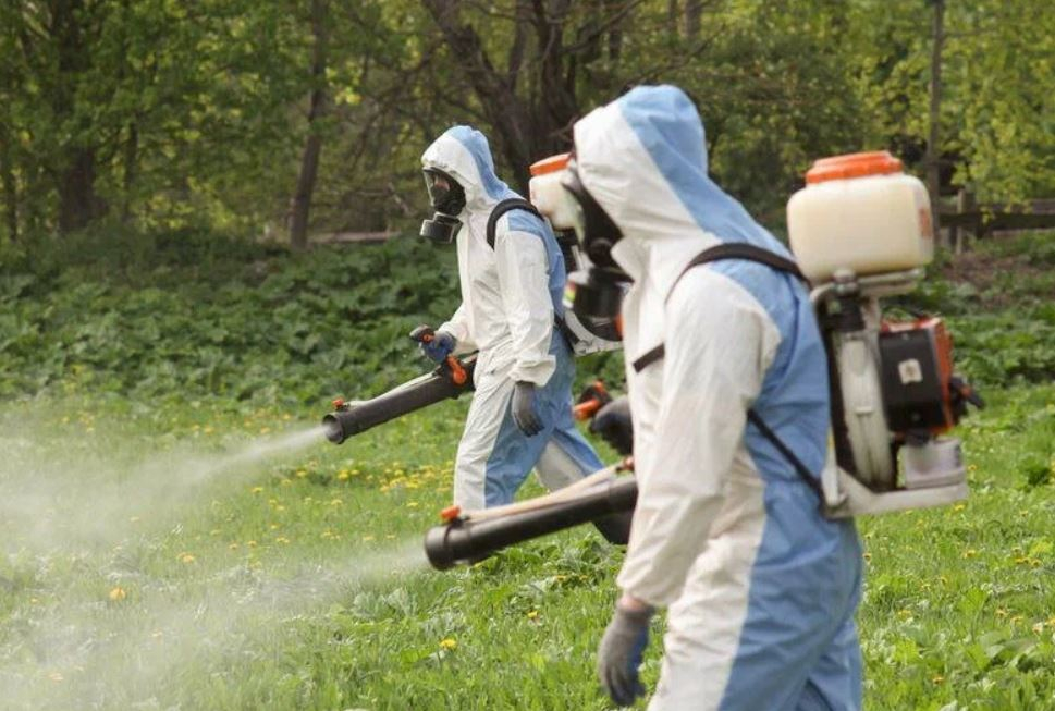 фото: Профессиональное уничтожение мух в Дедовске: <br/>+7-909-173-42-96